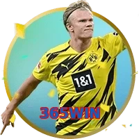 365WIN