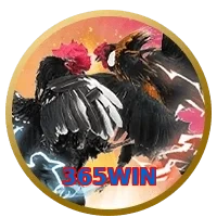 365WIN