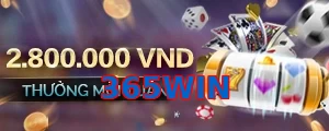 365WIN