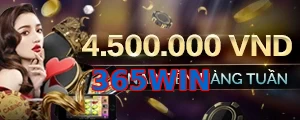 365WIN