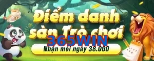 365WIN