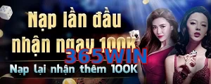 365WIN